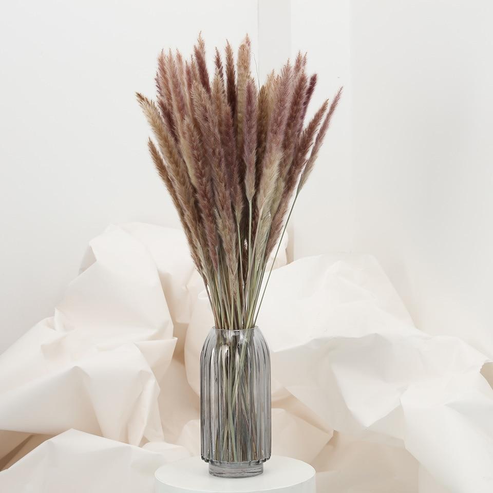 Bulrush Natural Pampas Grass Decor Bundle