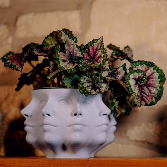 Polyface Planter Pot