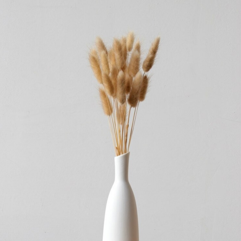 HomeQuill™ Minimalistic White Ceramic Vase - Nordic Side - 