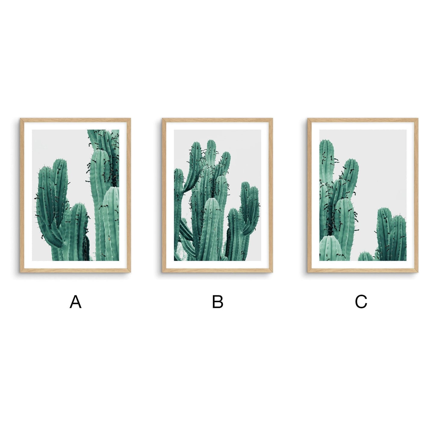 Cactus Everywhere - Nordic Side - 