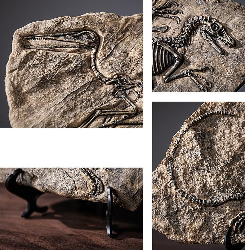 Dinosaur Fossil Decor Specimen