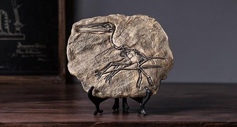 Dinosaur Fossil Decor Specimen