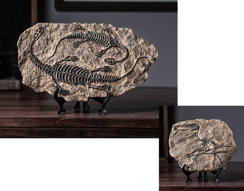 Dinosaur Fossil Decor Specimen