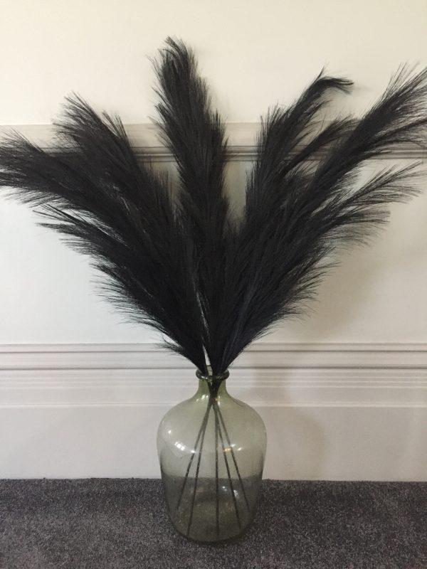 Black Pampas Plumes for Decor