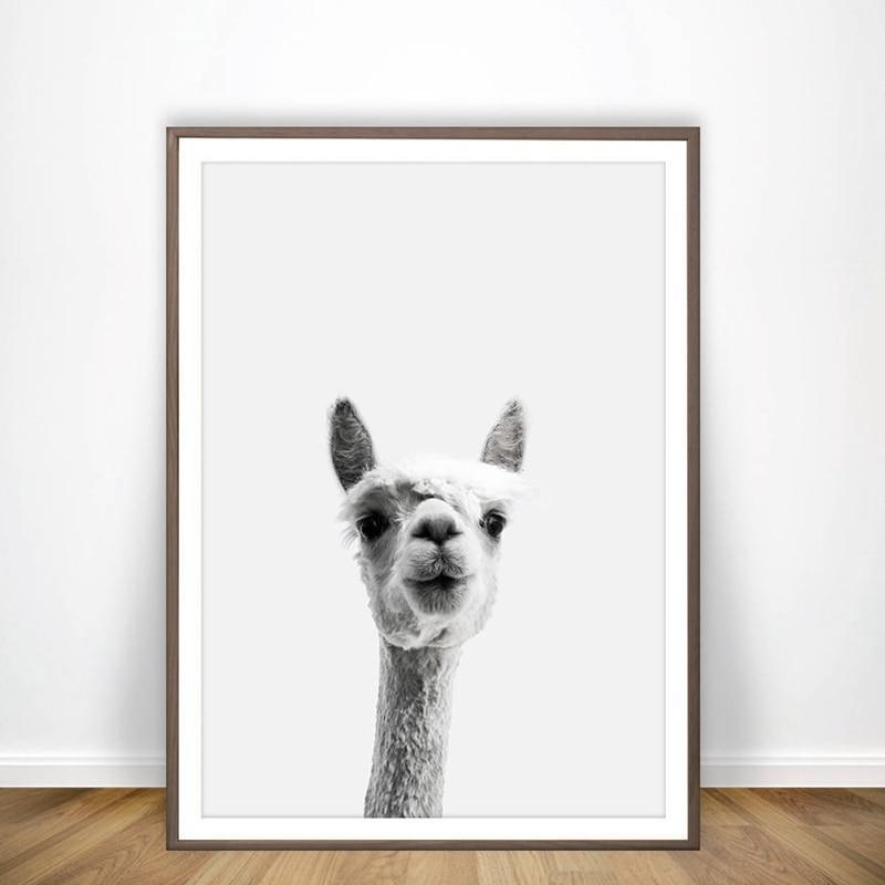 Curious Llama Print - Nordic Side - Art + Prints, not-hanger