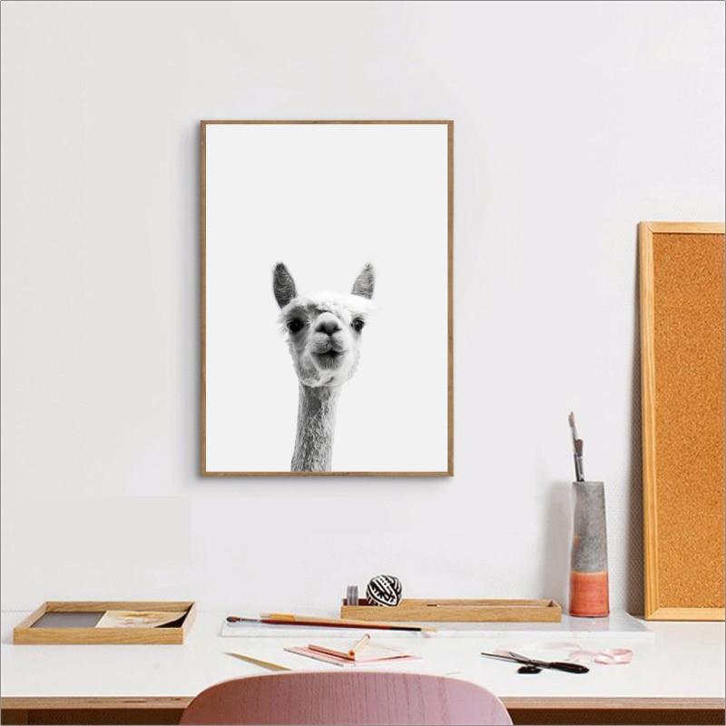 Curious Llama Print - Nordic Side - Art + Prints, not-hanger