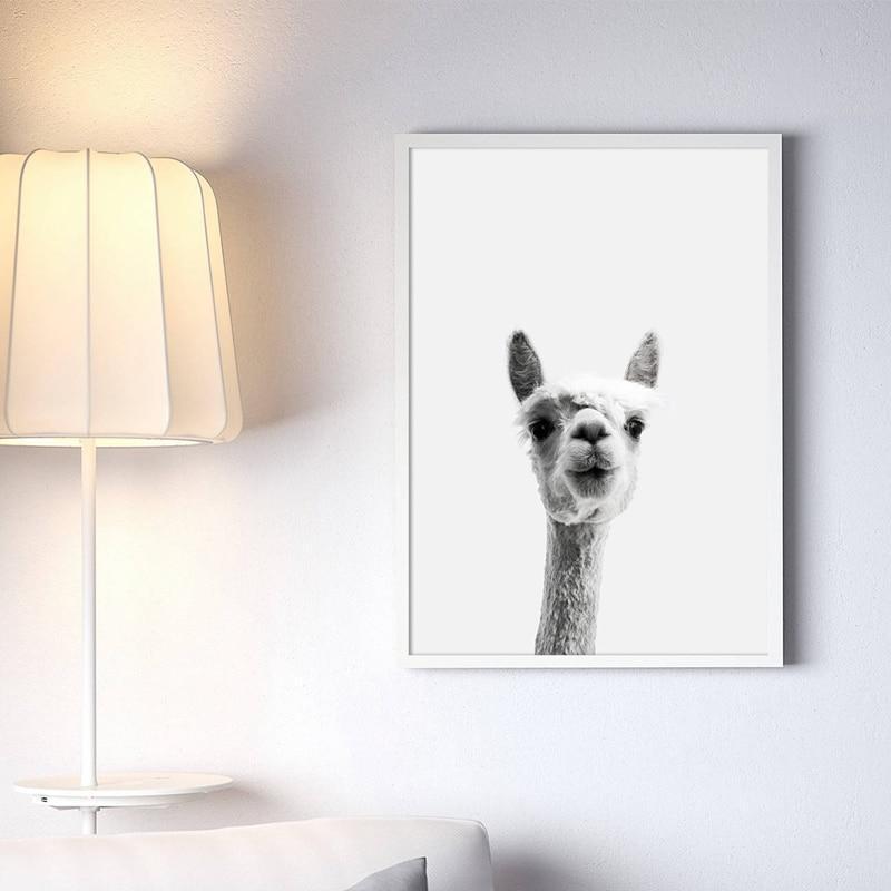 Curious Llama Print - Nordic Side - Art + Prints, not-hanger