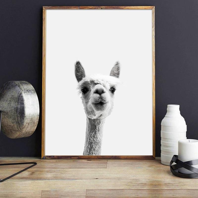 Curious Llama Print - Nordic Side - Art + Prints, not-hanger