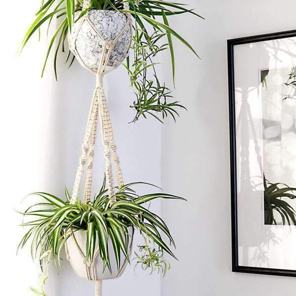 Macrame Plant Hangers - Nordic Side - MacramÃ©, not-hanger, Plants, Wall Hanging