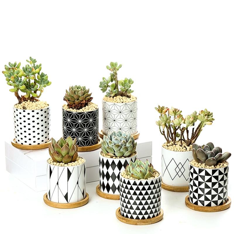 Aiva - Nordic Geometric Succulent Planter - Nordic Side - Modern Planters