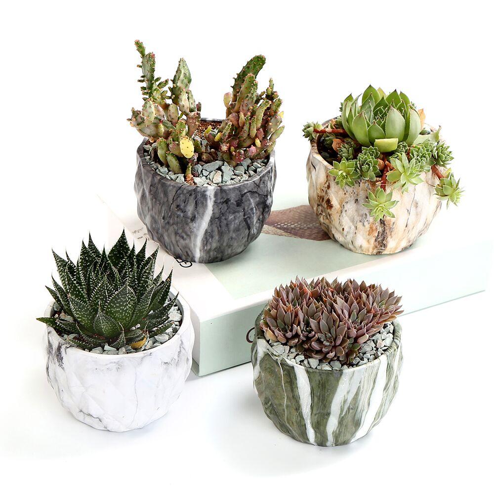 Deidra - Modern Bonsai Marbling Flower Pot (4 pcs) - Nordic Side - Modern Planters