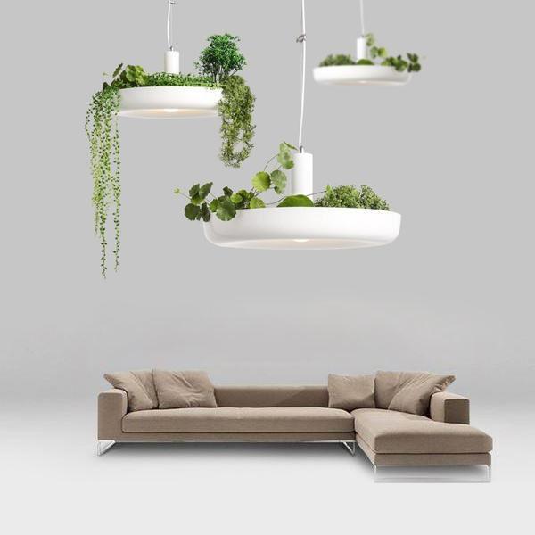 Canopy Chandelier - Nordic Side - not-hanger