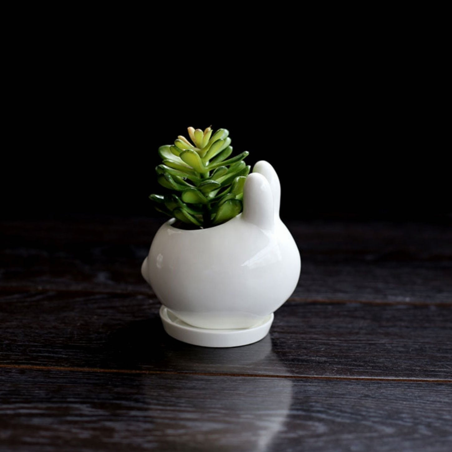 Adorable Animal Ceramic Vases - Nordic Side - 