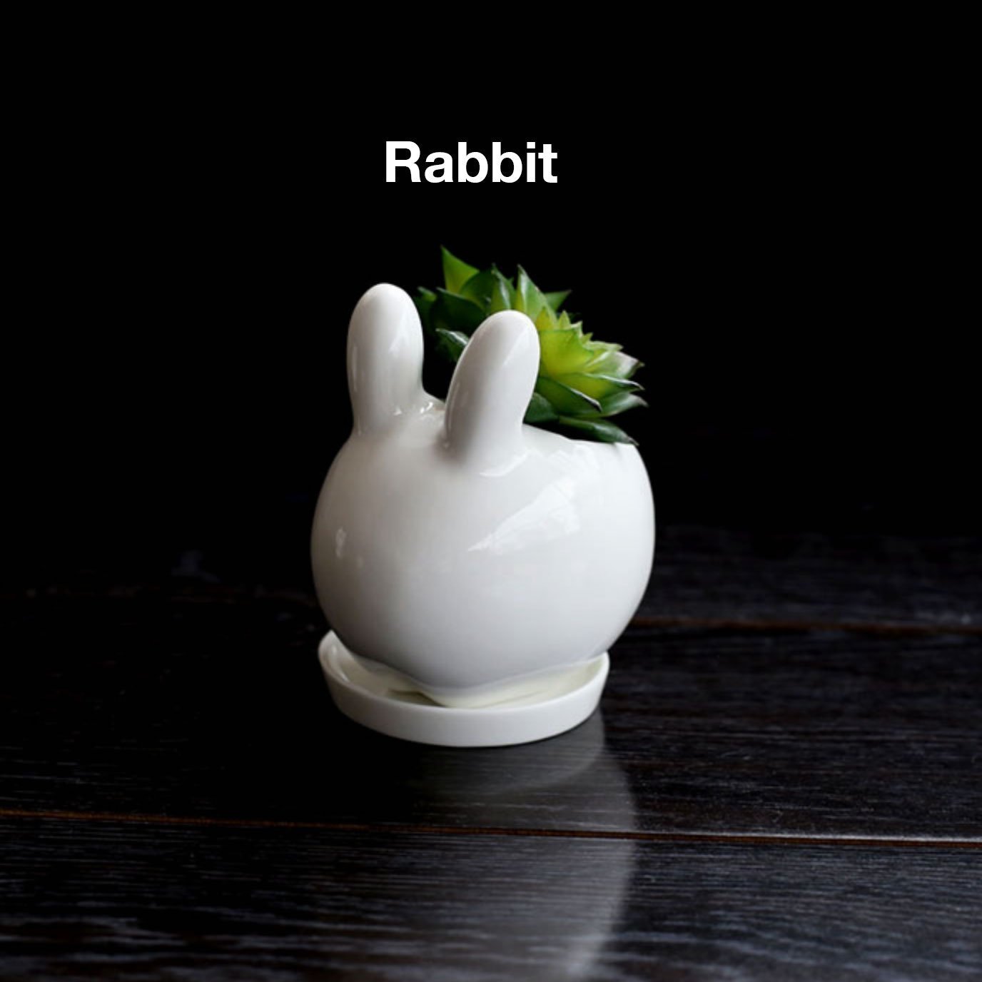 Adorable Animal Ceramic Vases - Nordic Side - 