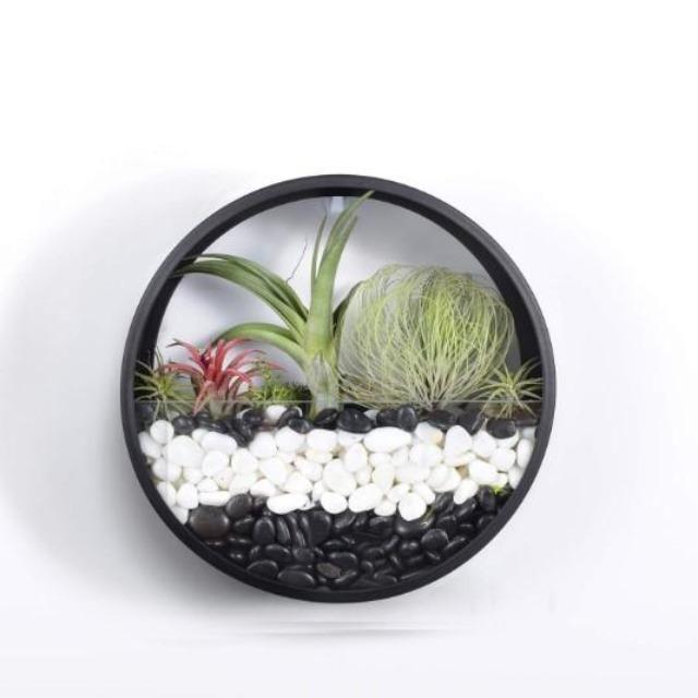 Wanniya - Bonsai Wall Hanging Flower Vase - Nordic Side - Decor, Modern Planters, VASES/POTS