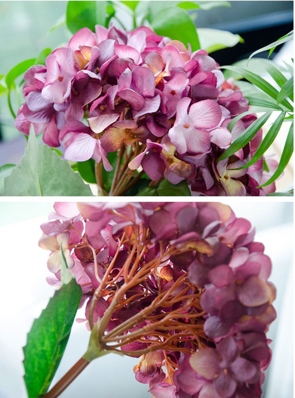 Single Hydrangea Branch - Nordic Side - 