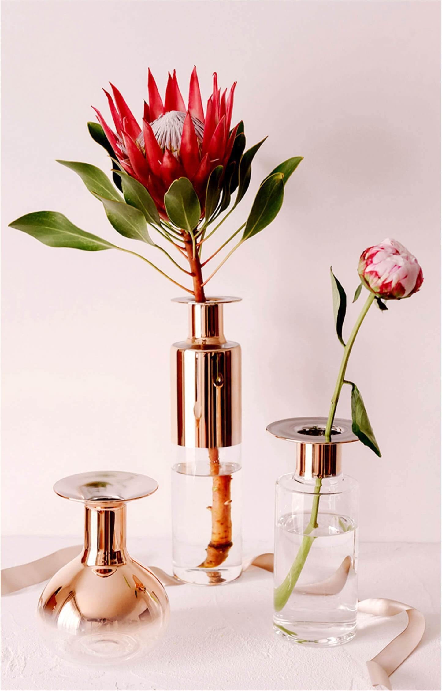 Terrarium Copper Glass Vases - Nordic Side - 