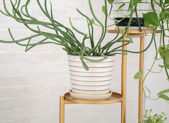 Henley - Three Level Modern Nordic Planter Display Stand - Nordic Side - 05-01, feed-cl0-over-80-dollars