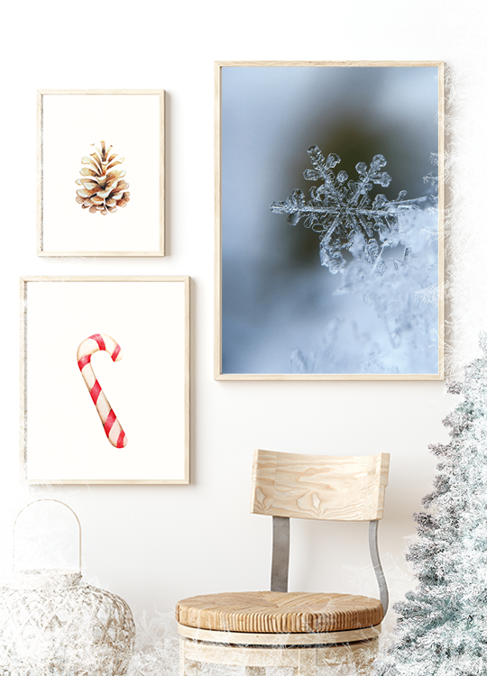 Detailed Snowflake Print - Nordic Side - 