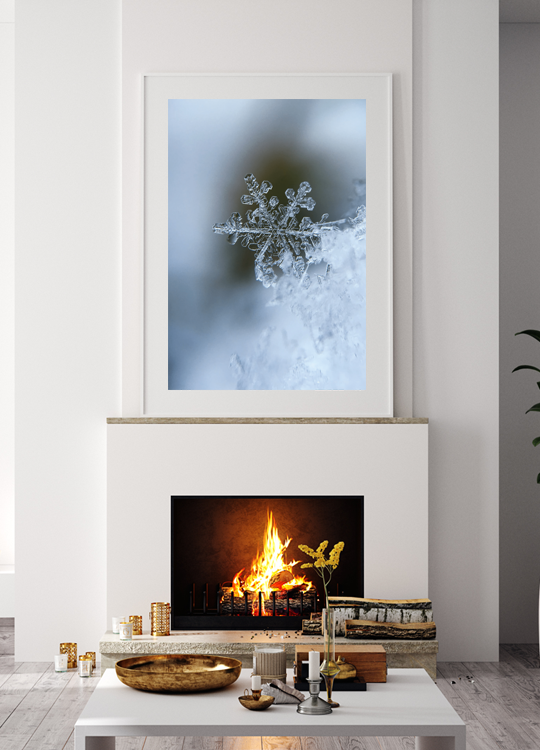 Detailed Snowflake Print - Nordic Side - 