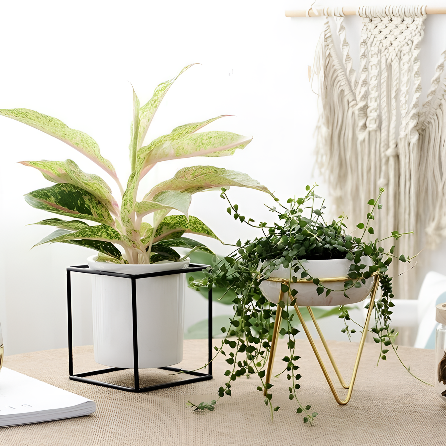 Odalys Modern Iron Desktop Planter | Planters | NordicAbode.com