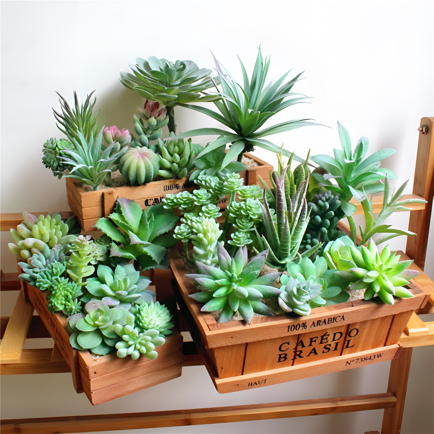 Artificial Faux Succulent Plant | Plants | NordicAbode.com