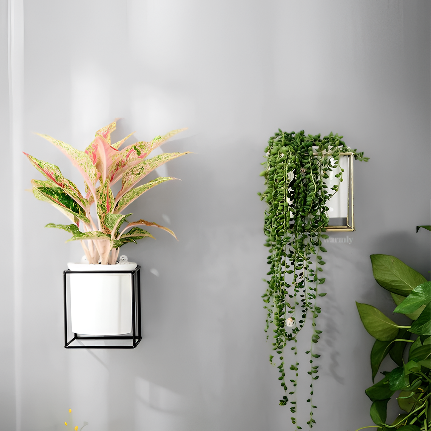 Fenella Modern Porcelain Planter Frame | Planters | NordicAbode.com