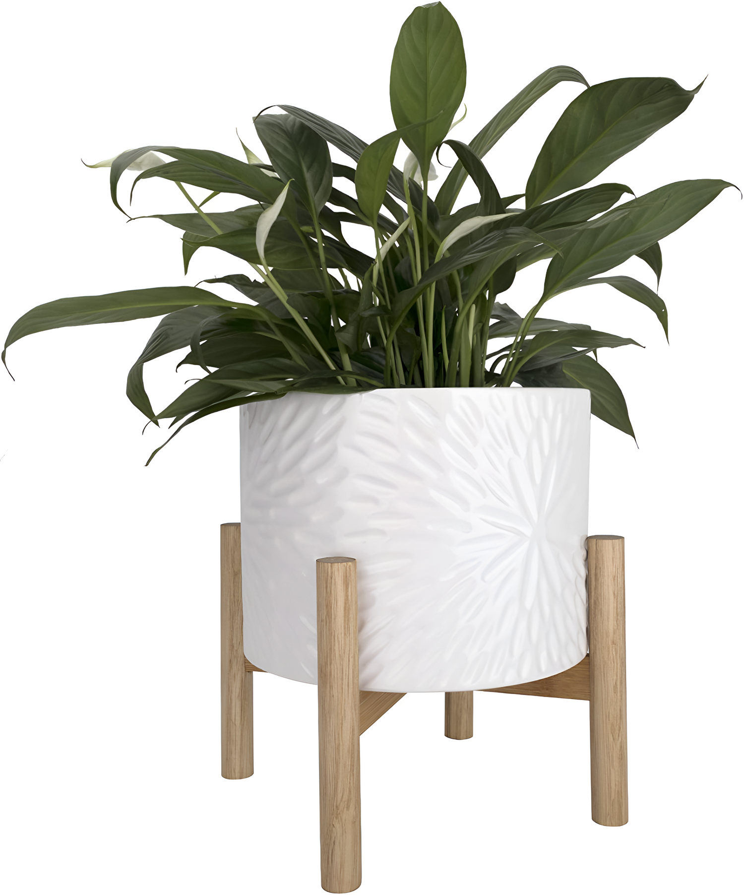 La 8 Ceramic Flower Pot with Wood Stand | Planters | NordicAbode.com