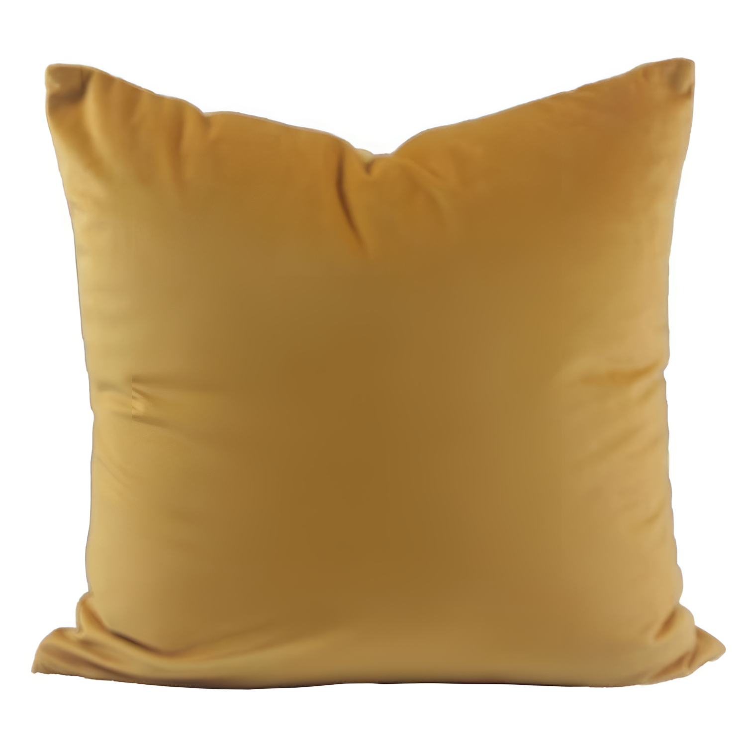 Matte Luxurious Velvet Cushion Cover | Cushions | NordicAbode.com