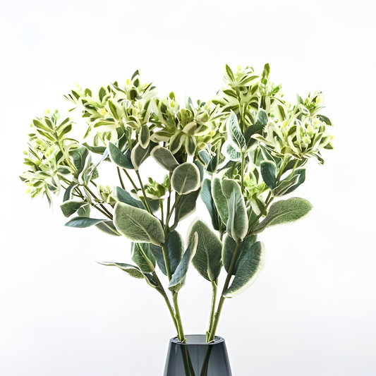 Euphorbia Marginata Branch Decor | Botanical Decor | NordicAbode.com