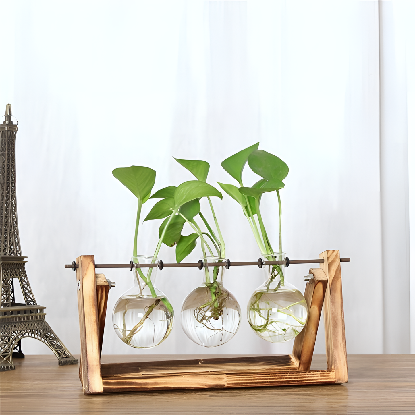 Terra Transparent Plant Vase - Hydroponic Decor | Vases | NordicAbode.com