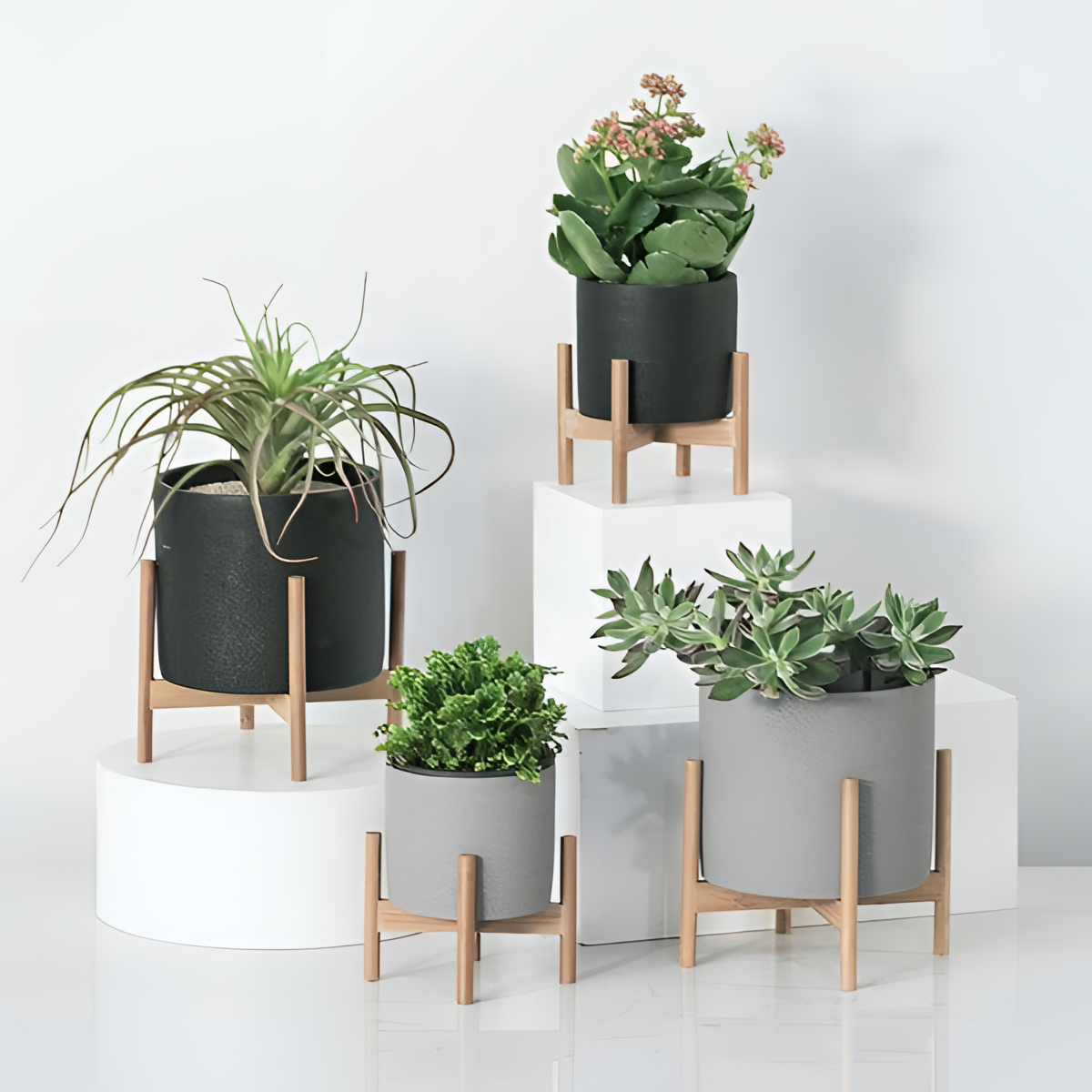 Downy Beachy Cement Pot and Stand | Planters | NordicAbode.com