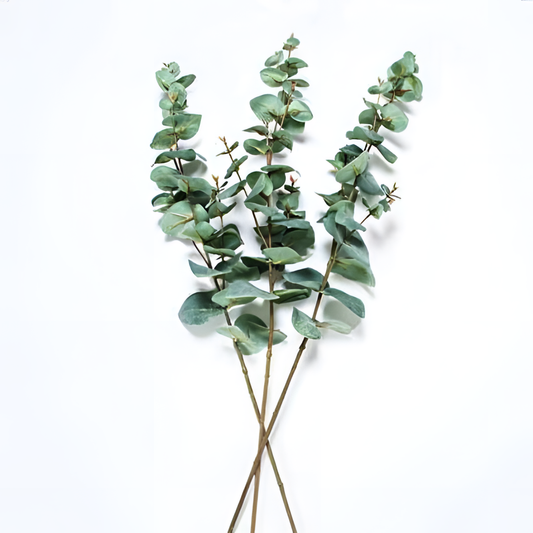 Mint Eucalyptus Branch Decor | Botanical Decor | NordicAbode.com