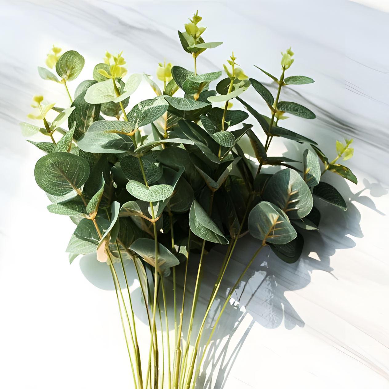 Four Eucalyptus Branches Home Decor | Plants | NordicAbode.com