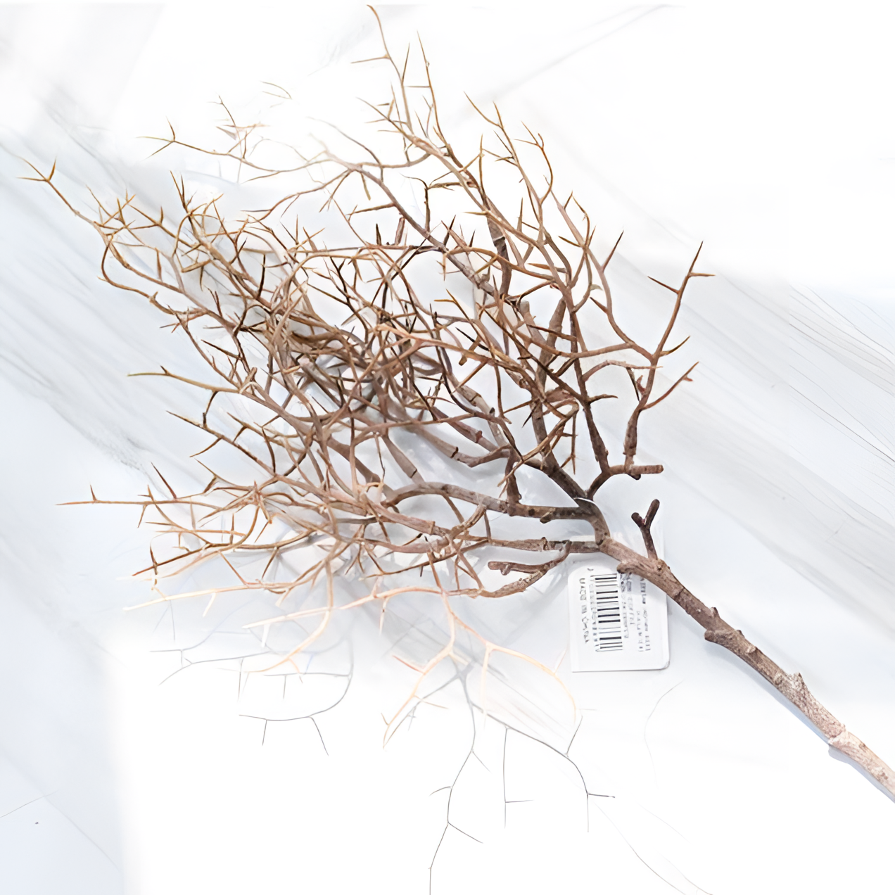 Nordic Natural Branch Decor | Nature Inspired | NordicAbode.com