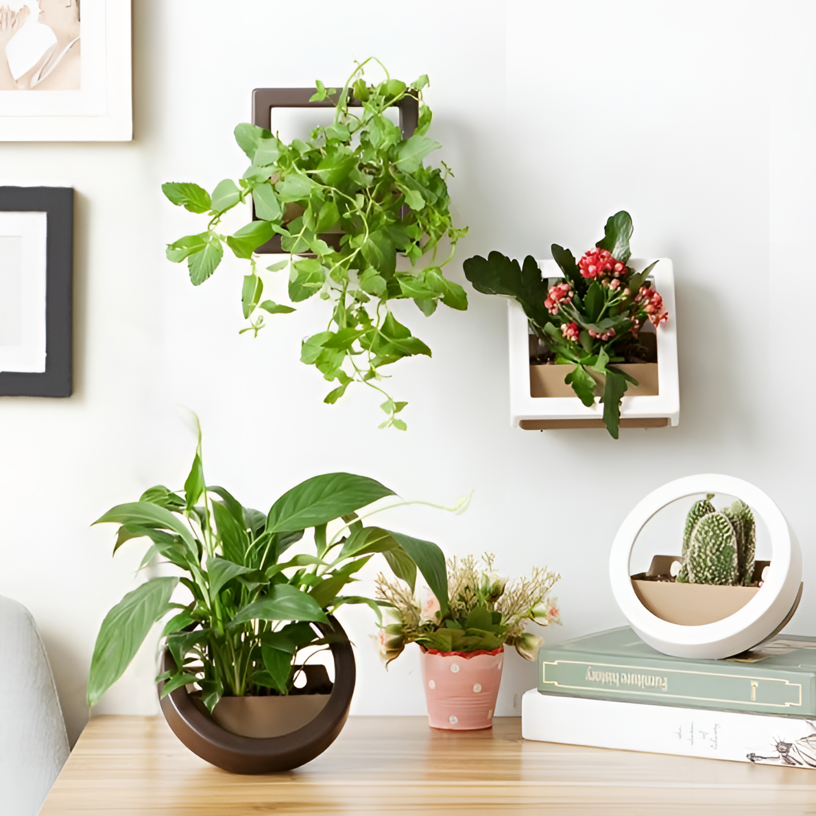 Modern Colorful Desktop Planters Set | Planters | NordicAbode.com