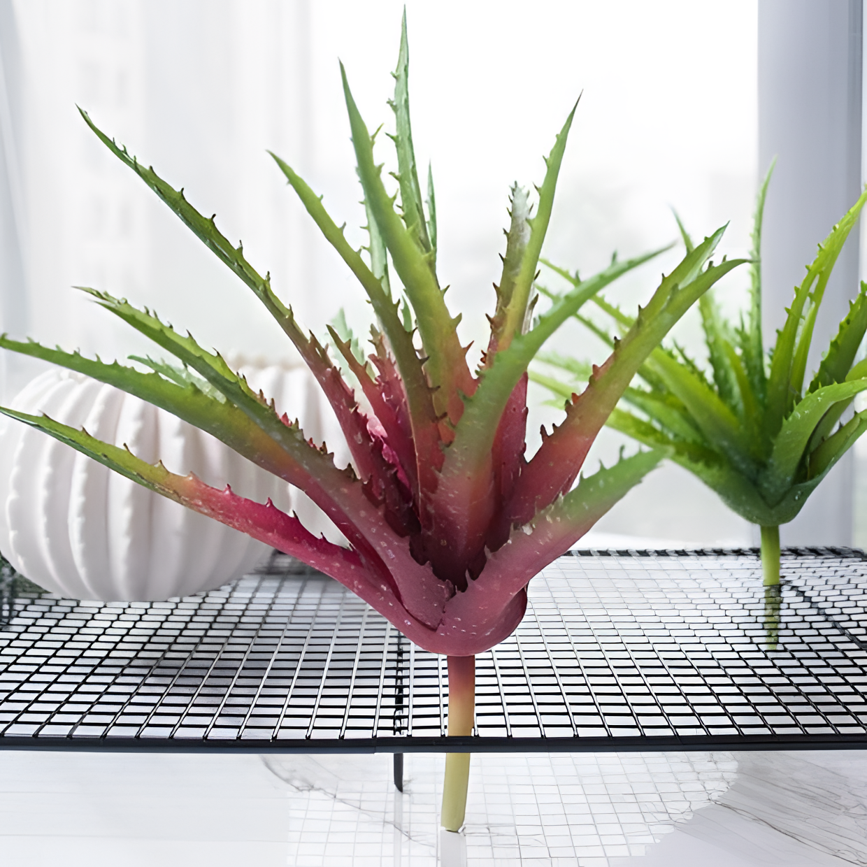 Artificial Faux Aloe Plant Decor | Plants | NordicAbode.com