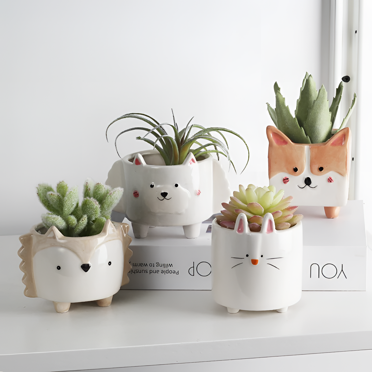 Mini Animal Succulent Pots | Planters | NordicAbode.com