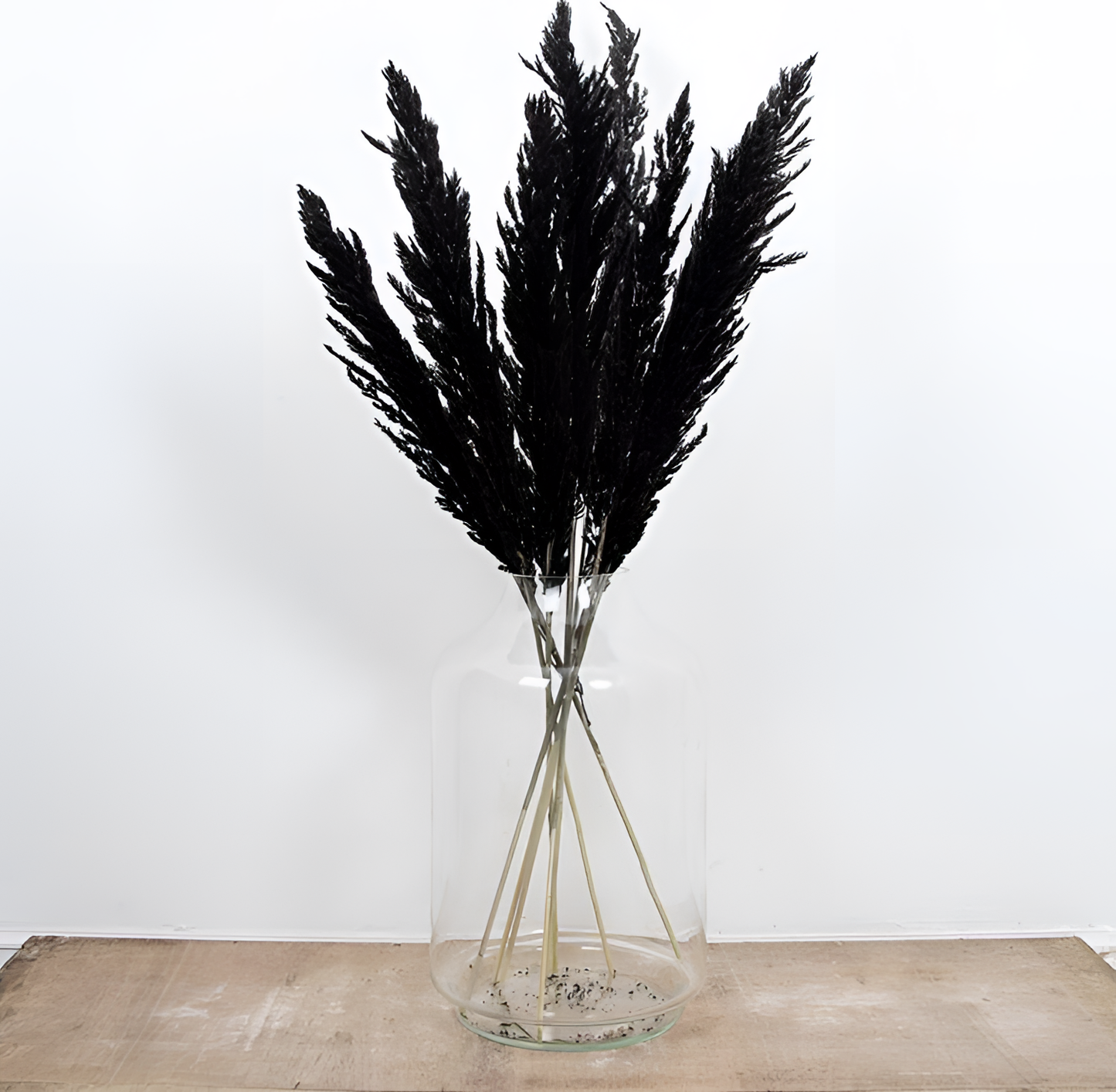 Black Pampas Plumes for Decor | Floral Decor | NordicAbode.com