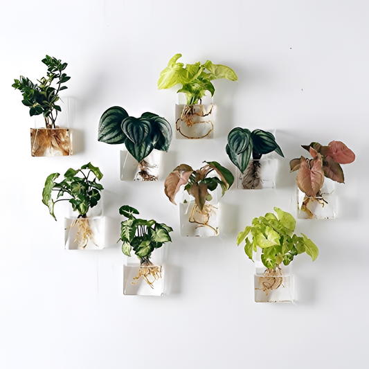 Set Modern Wall Mounted Planters Set | Planters | NordicAbode.com