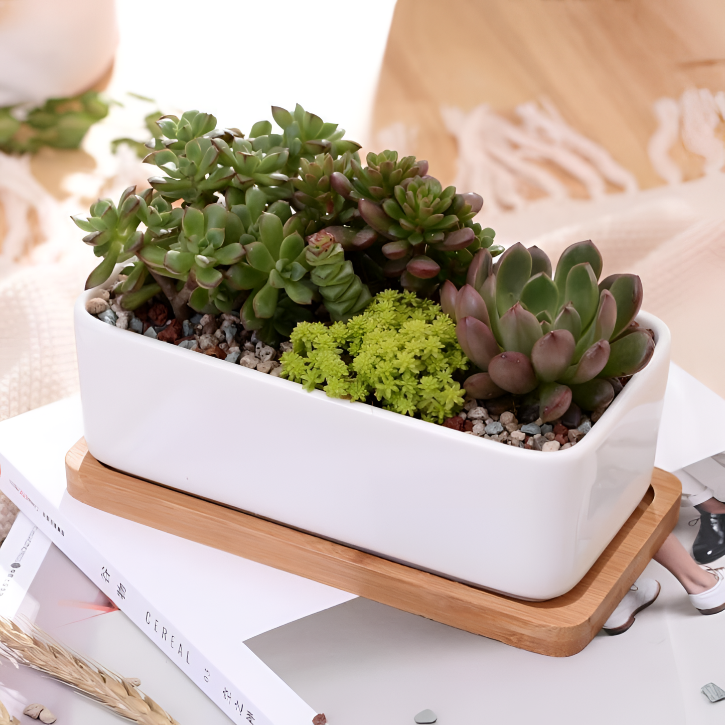 Ceramic Porcelain Pot with Bamboo Tray | Planters | NordicAbode.com