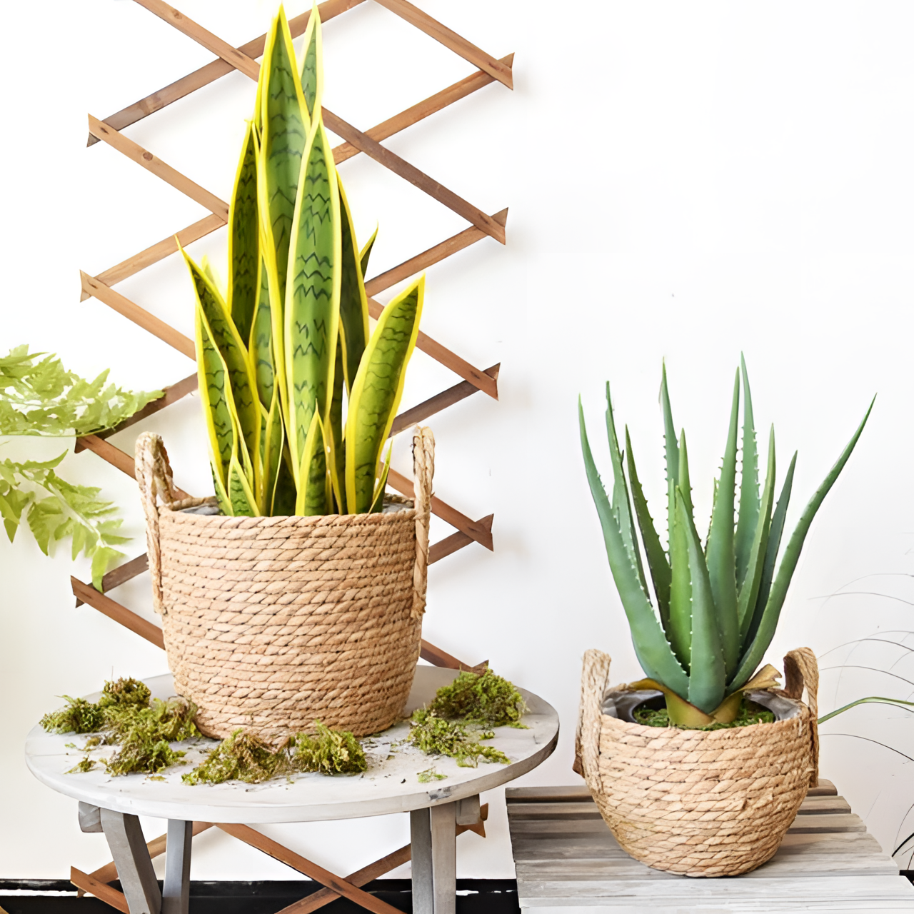 Regina Sleek Metal Flower Basket Stand | Plants | NordicAbode.com