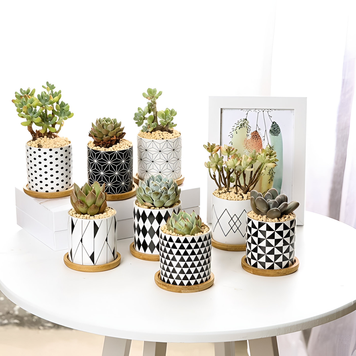 Aiva Geometric Succulent Planter - Nordic Style | Planters | NordicAbode.com