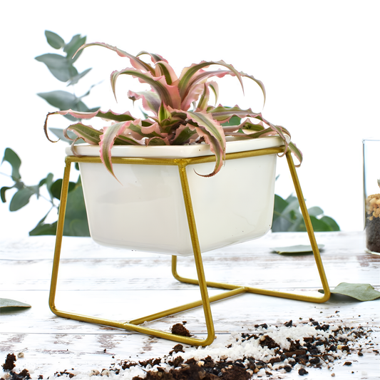 Mini Square Ceramic Pot with Iron Stand | Planters | NordicAbode.com