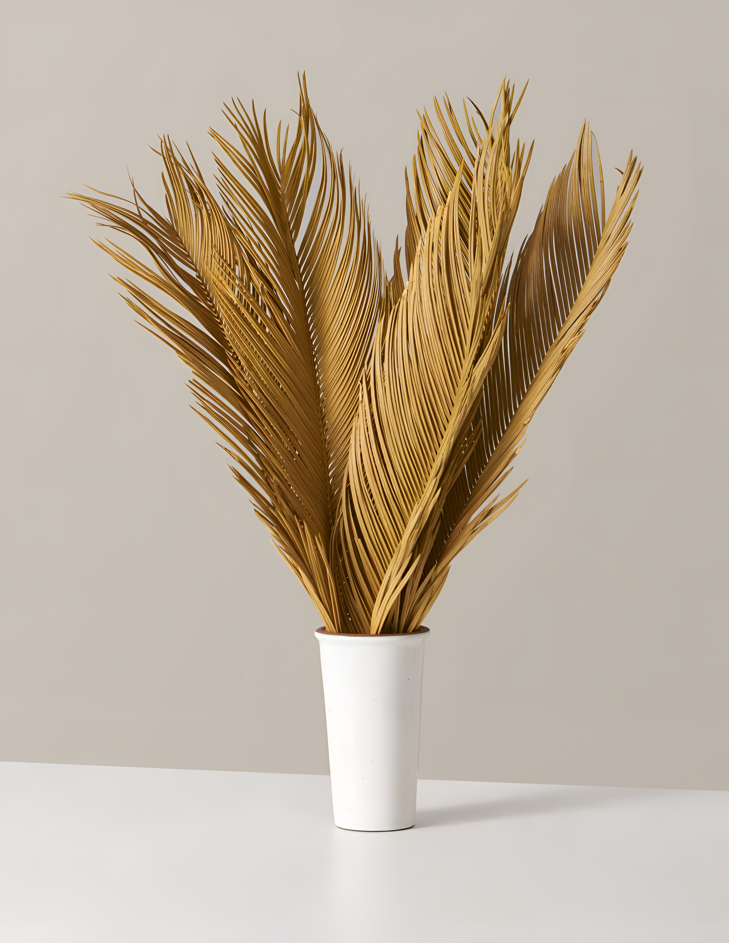 Natural Striking Dried Sago Palm Stems | Botanicals | NordicAbode.com