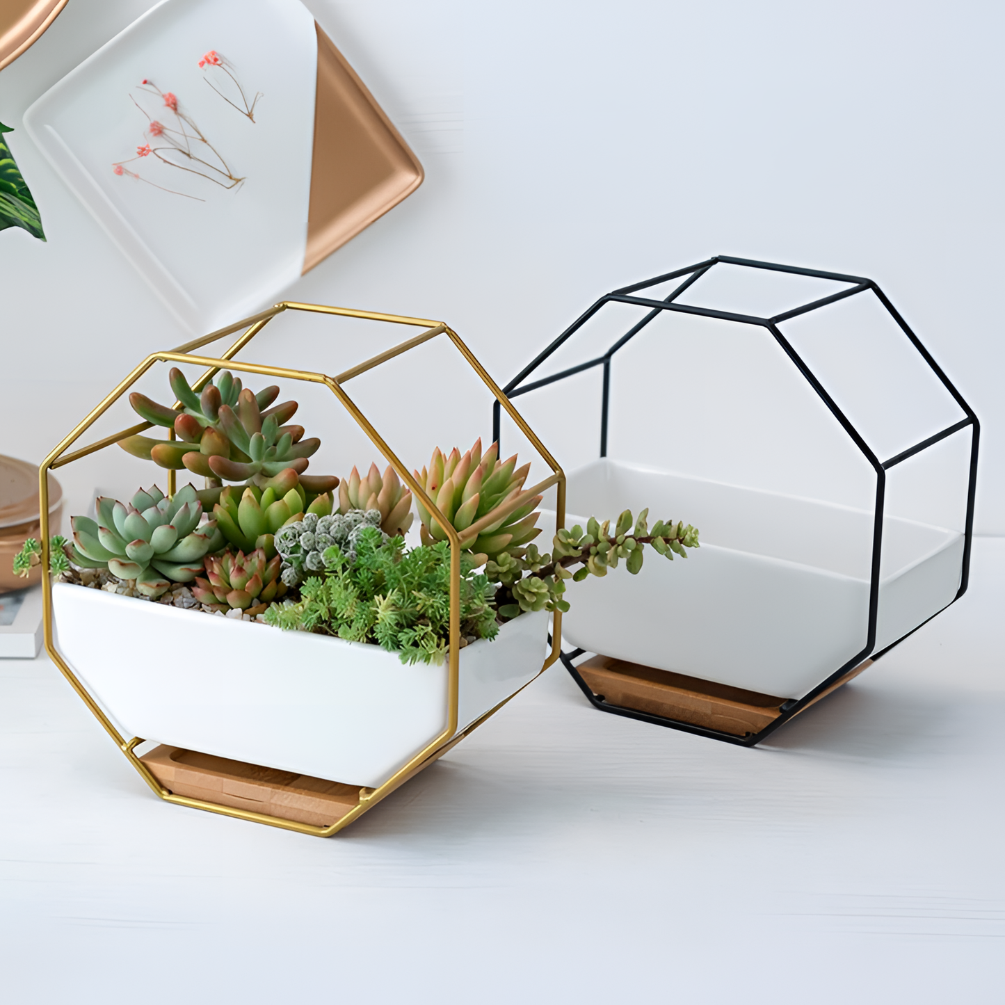 Elle Geometric Ceramic Succulent Pot | Planters | NordicAbode.com