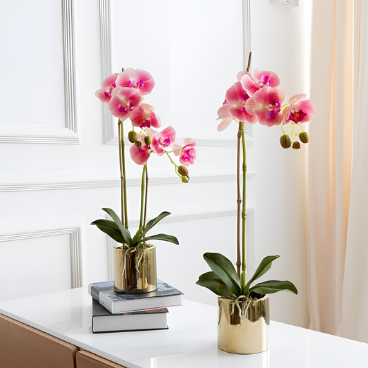 Gold Elegant Orchid Vase Set | Vases | NordicAbode.com