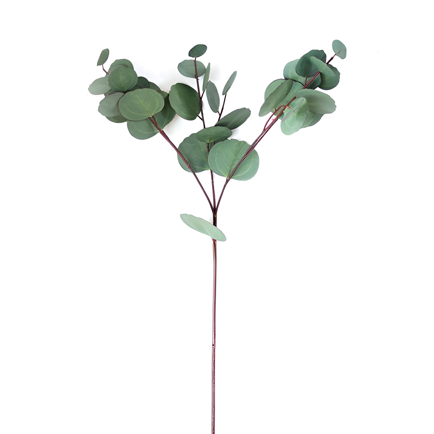 Artificial Eucalyptus Leaf Decoration | Plants | NordicAbode.com