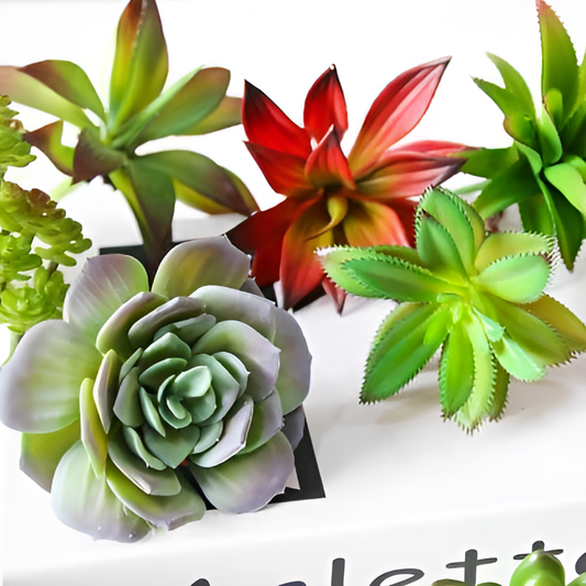 Diy Artificial Succulents for Home Decor | Succulents | NordicAbode.com