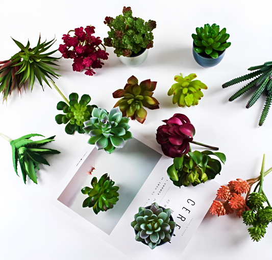 Artificial Diverse Artificial Succulents | Succulents | NordicAbode.com